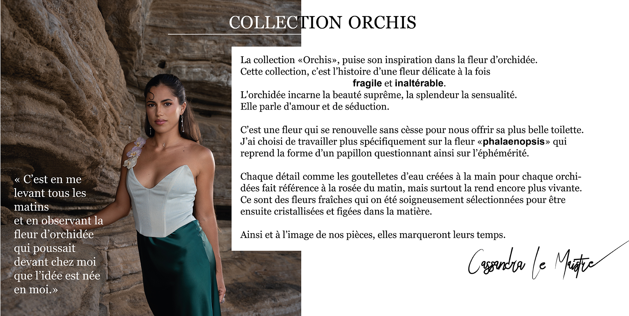 Collection Orchis Texte d'intention inspirations